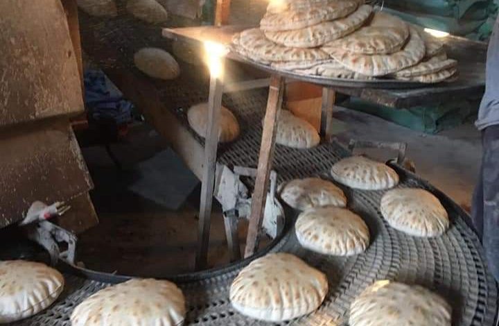 محاضر تموينية