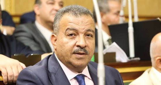 رئيس صحة النواب