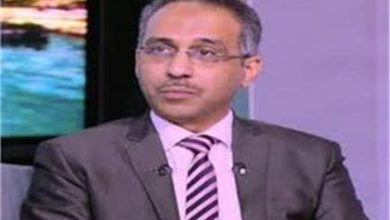 محمود شاهين