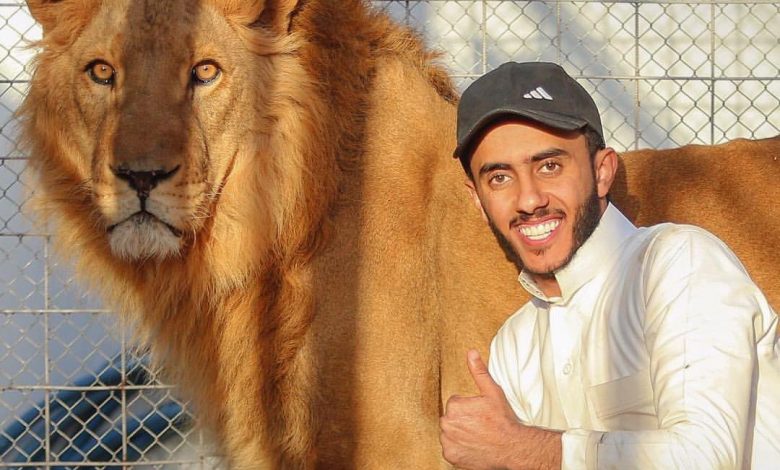 فر من قفصه.. أسد يفترس سعودياً في حديقة منزله في الرياض