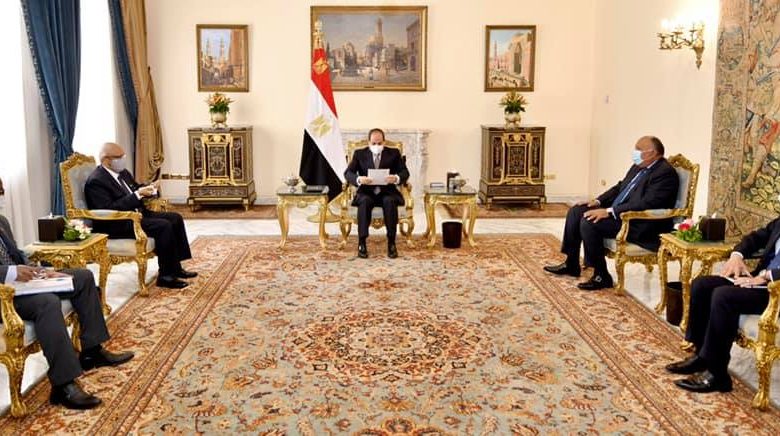 السيسي يستقبل وزير خارجية مالي.. ويؤكد حرص مصر على دعم استقرار بلاده
